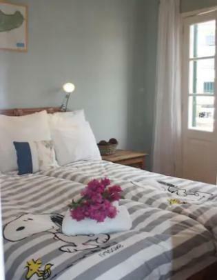 Old Town Penthouse - Barreirinha Apartment Funchal  Ngoại thất bức ảnh